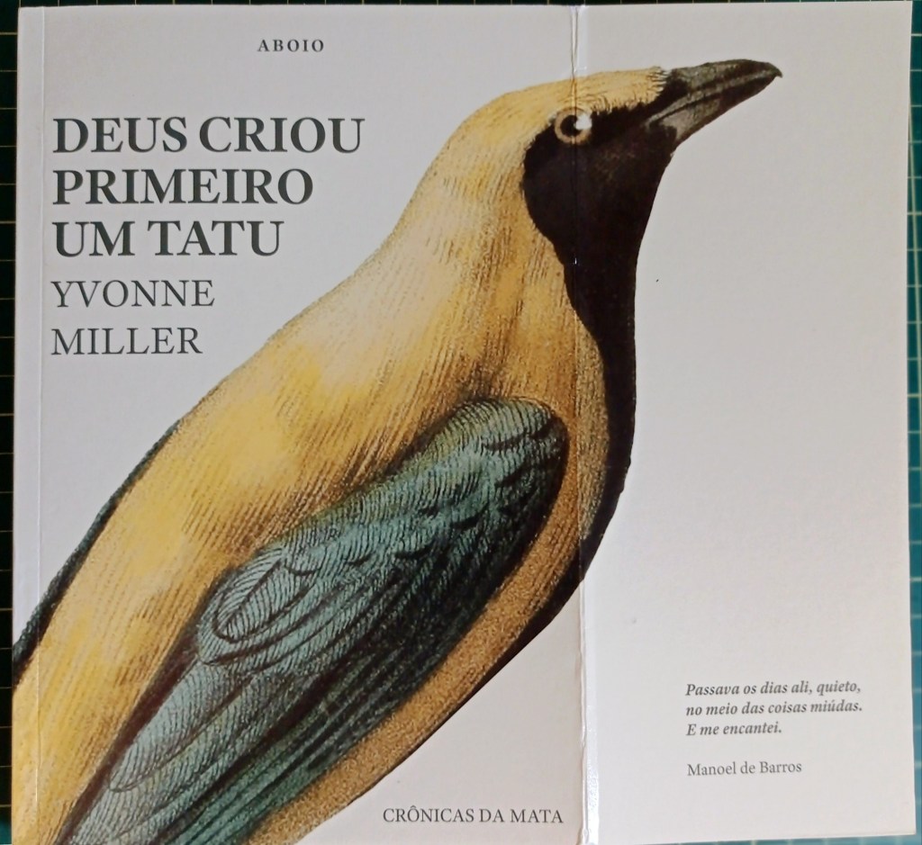 O atributo alt desta imagem está vazio. O nome do arquivo é 17487059655984032833524610846851.jpg